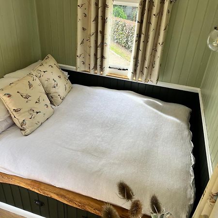 Stonehenge Campsite & Glamping Hotel Berwick St James Buitenkant foto