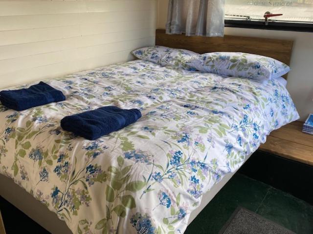 Stonehenge Campsite & Glamping Hotel Berwick St James Buitenkant foto